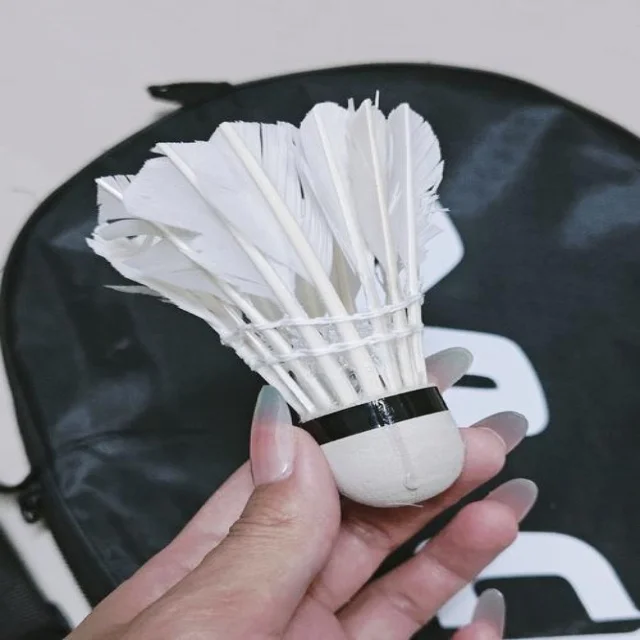 林诗栋单打表现再创佳绩
